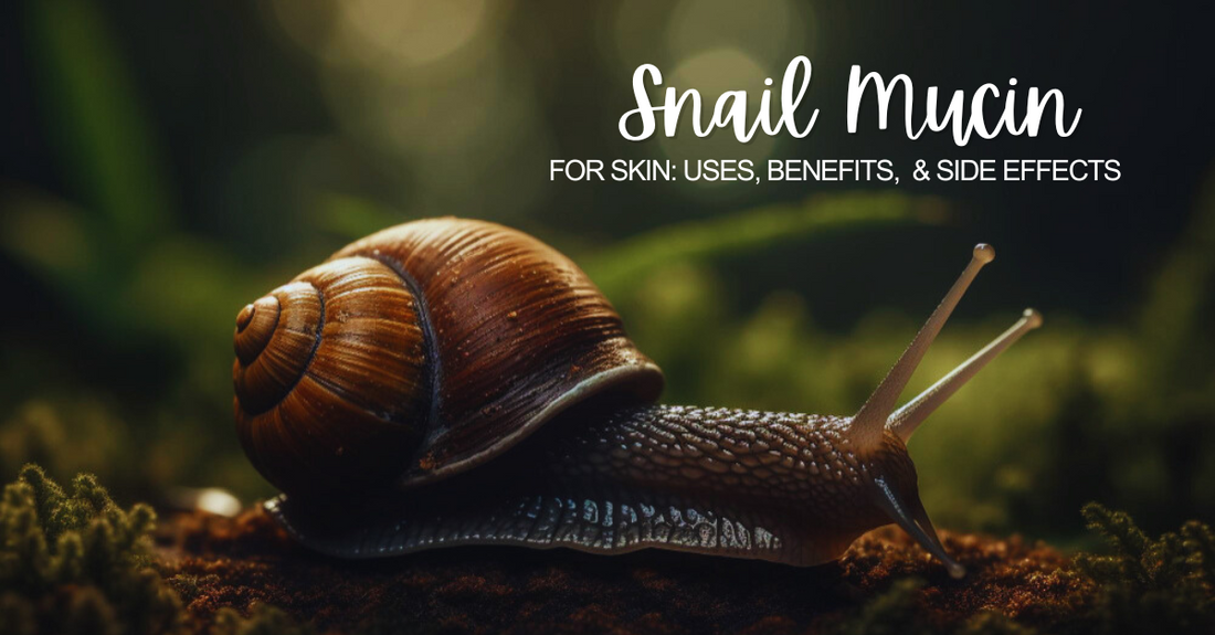 Snail Mucin Toner For Skin: Benefits, How It's Made, How To Use